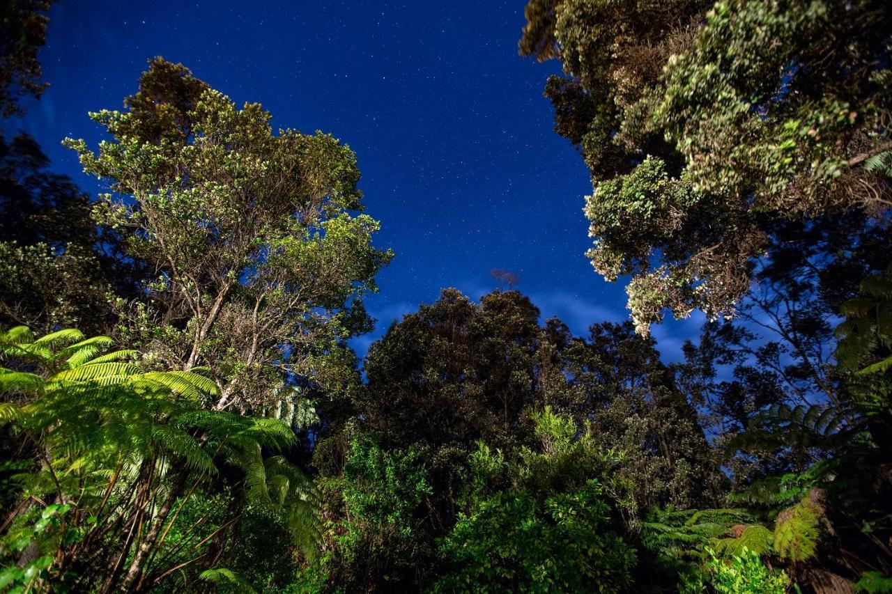 Chalet Kilauea Volcano Εξωτερικό φωτογραφία