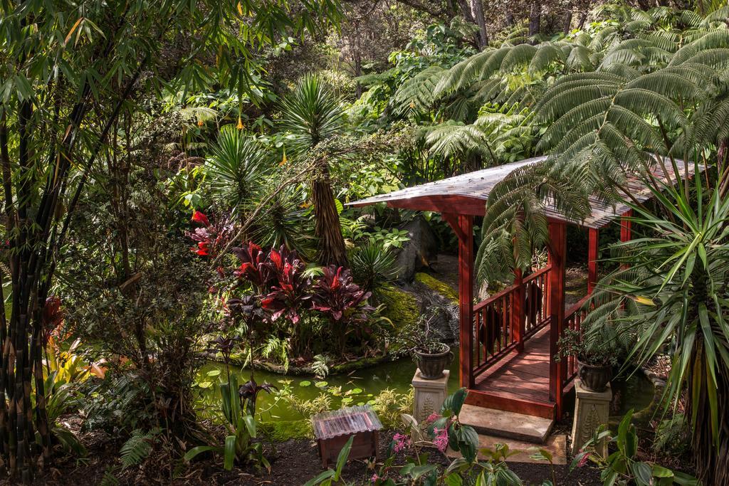 Chalet Kilauea Volcano Εξωτερικό φωτογραφία